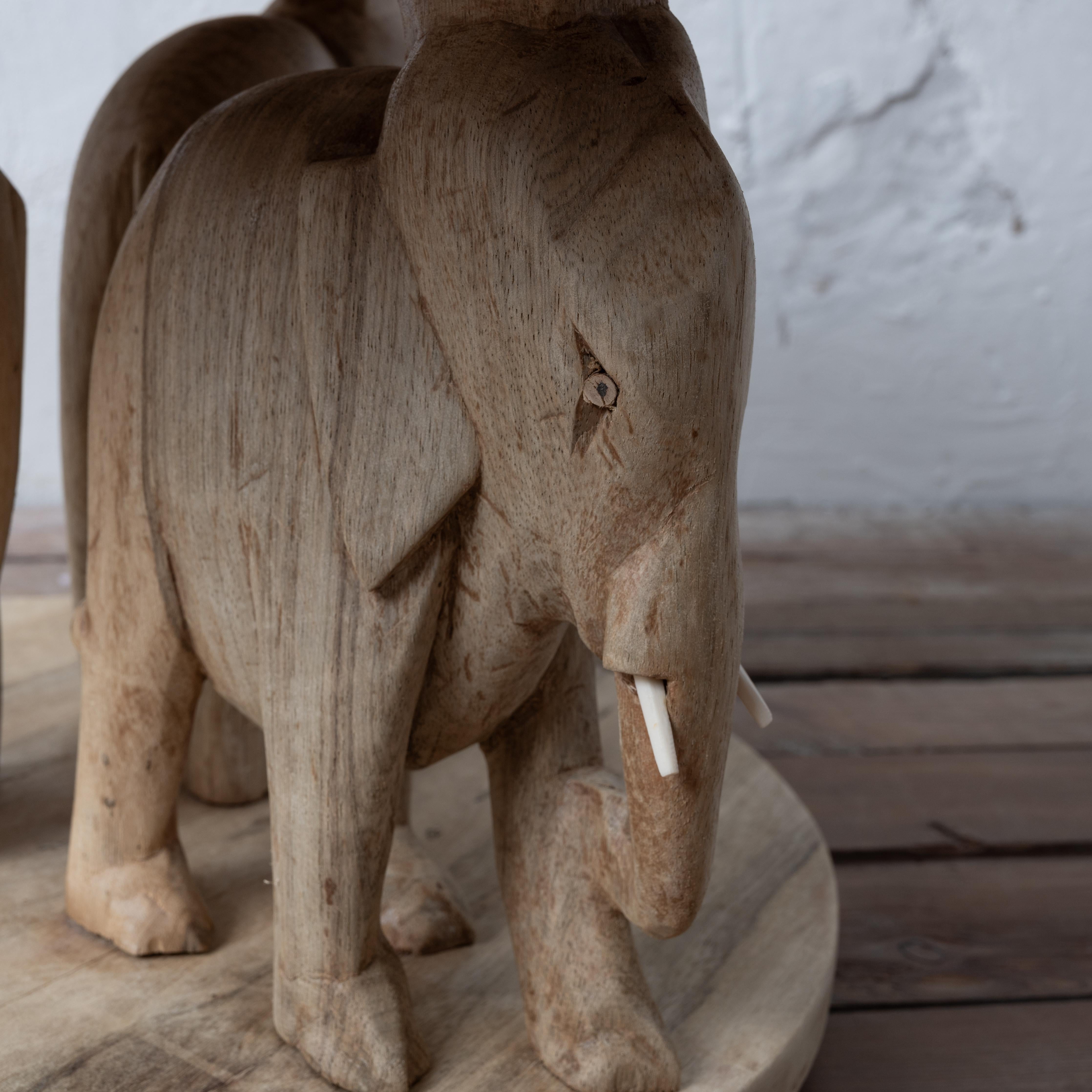 Bleached Ashanti Carved Elephant Coffee Table, 1960s For Sale 2