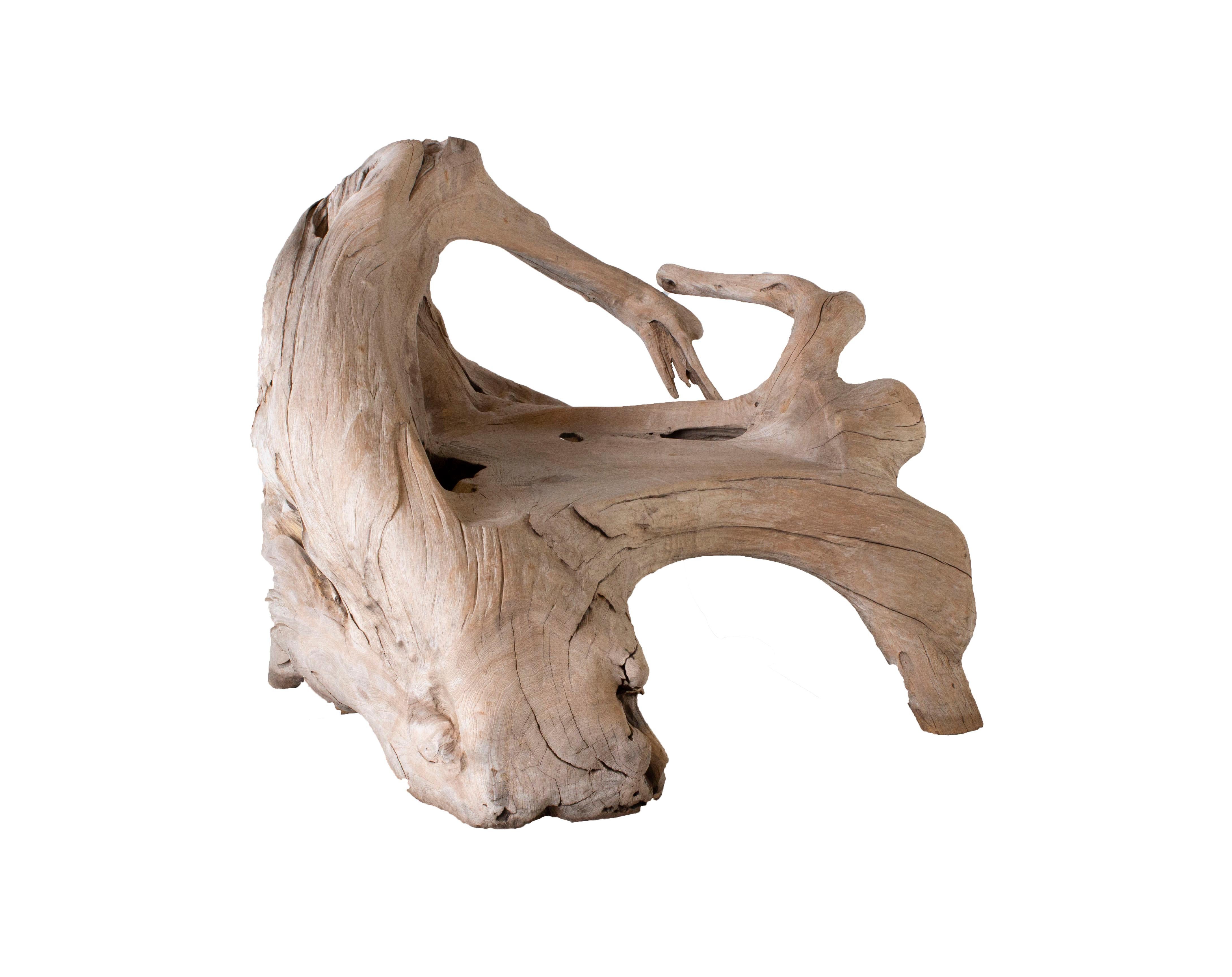 bleached driftwood for sale