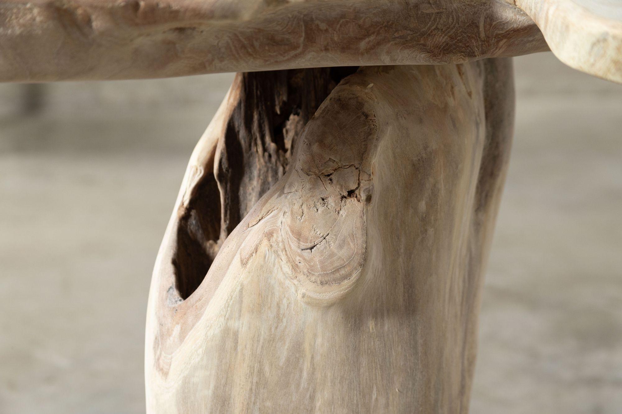 Bleached English Teak Root Side Table For Sale 10