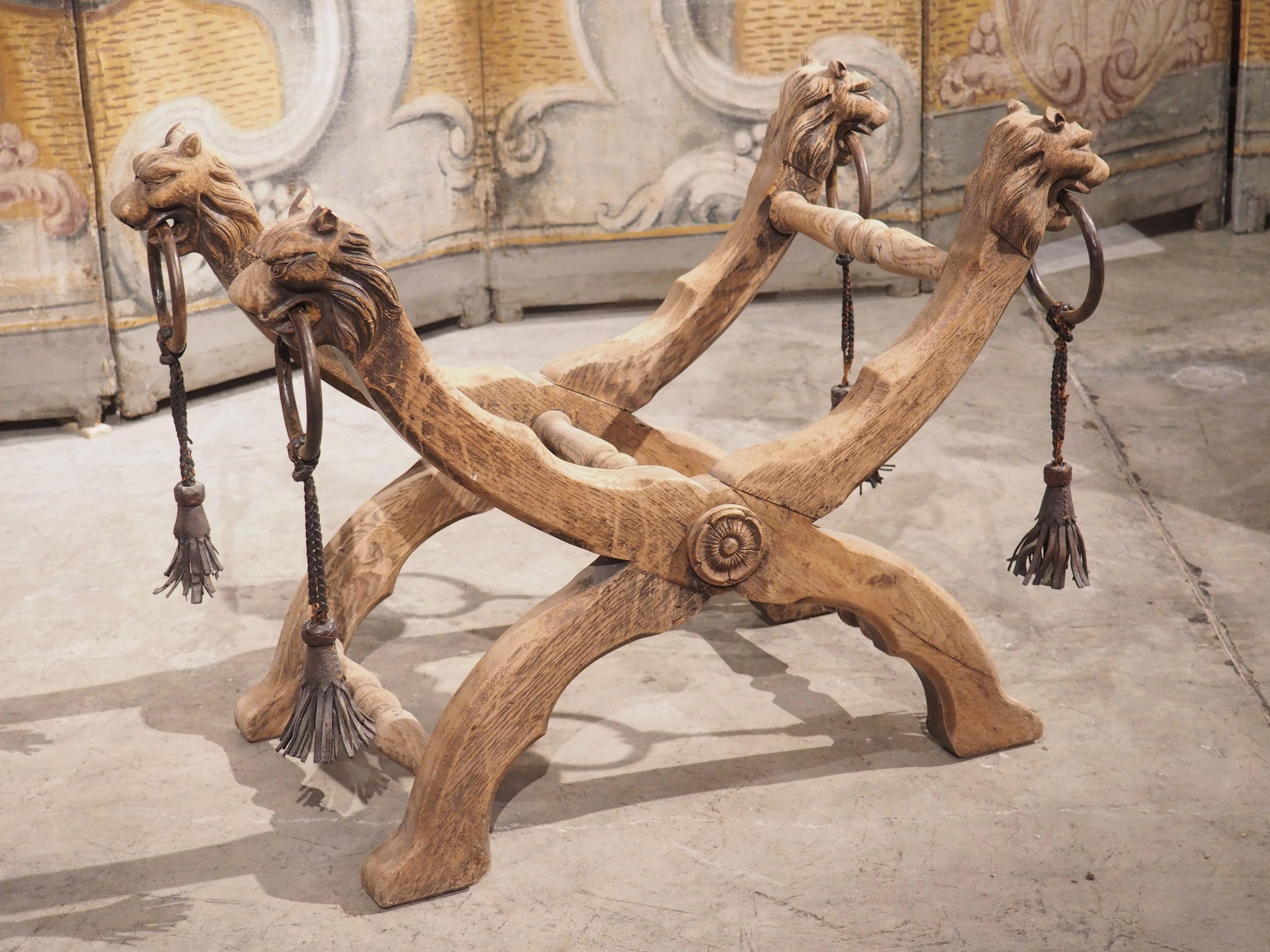 Bleached French Oak Curule Bench with Lion Heads and Iron Rings, Circa 1920 12