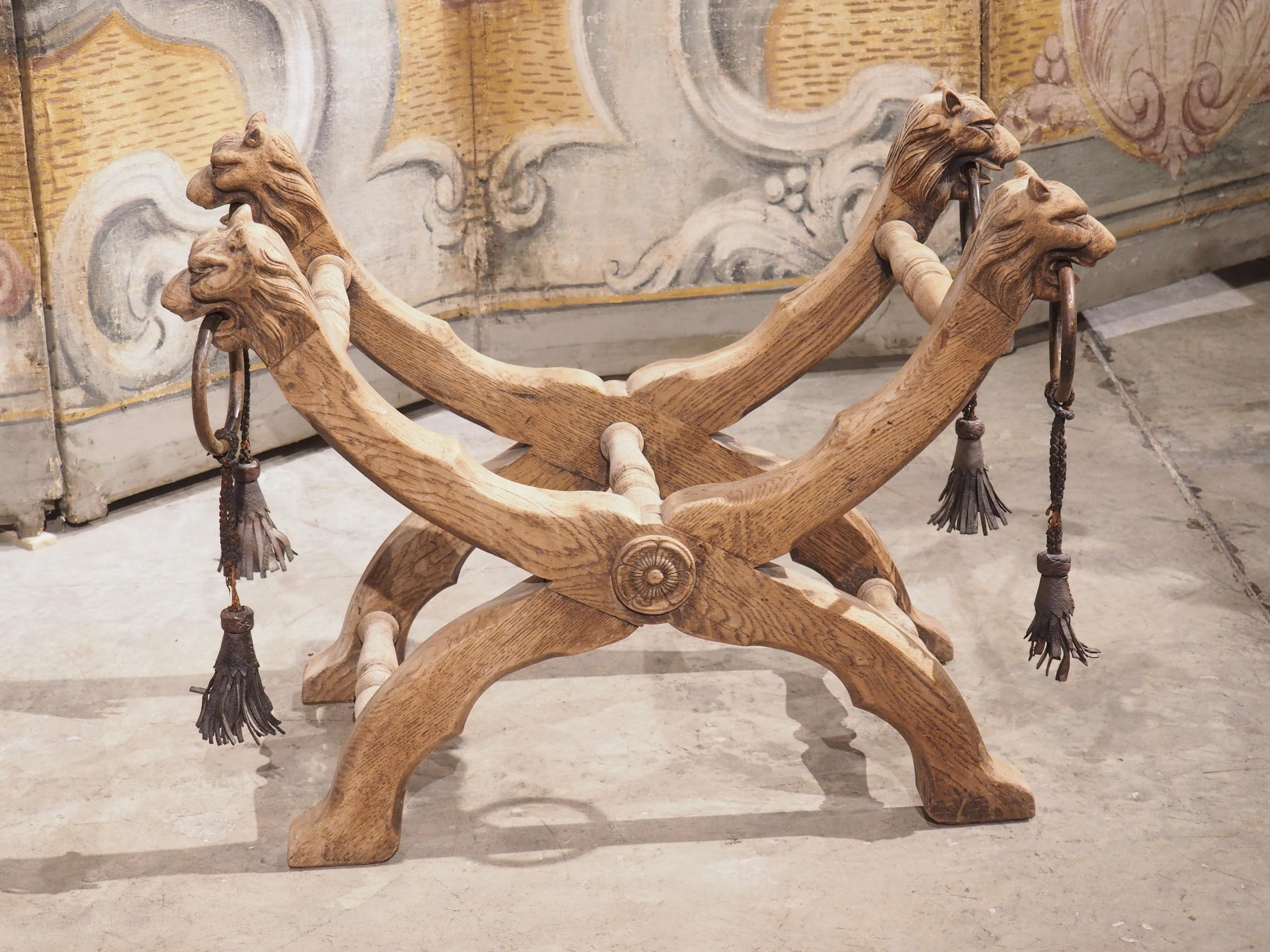 Metal Bleached French Oak Curule Bench with Lion Heads and Iron Rings, Circa 1920