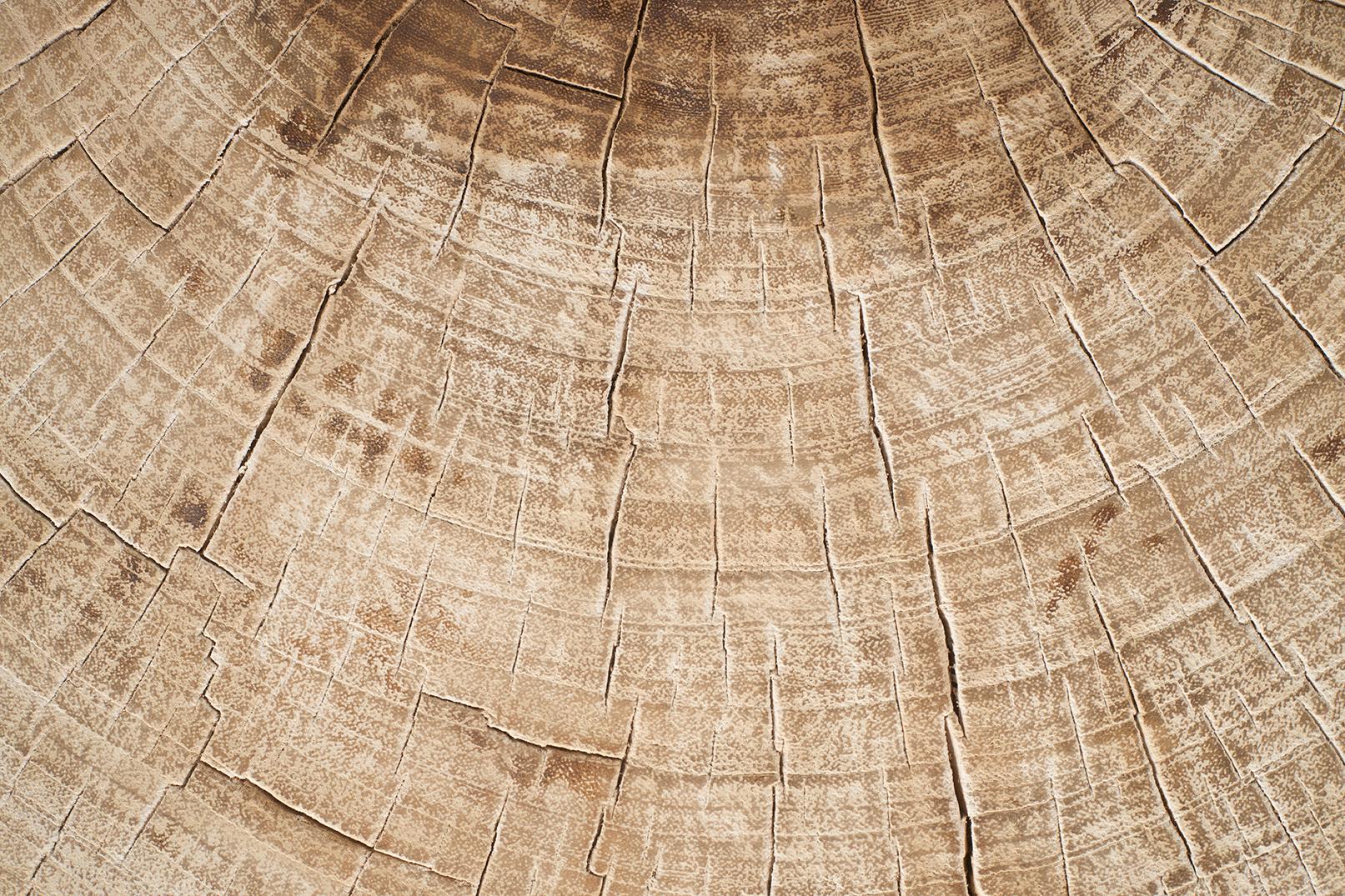 Wood Bleached Lychee Block Side Table For Sale