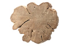 Bleached Lychee Wood Coffee Table