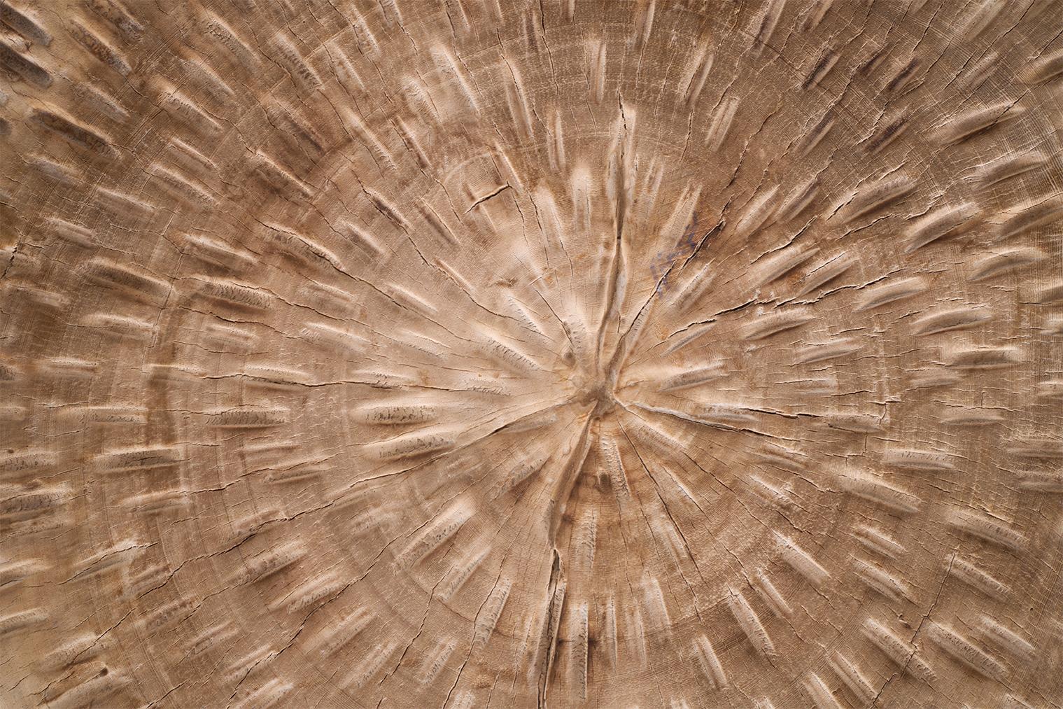 Bleached Lychee Wood Coffee Table In Good Condition In Dallas, TX