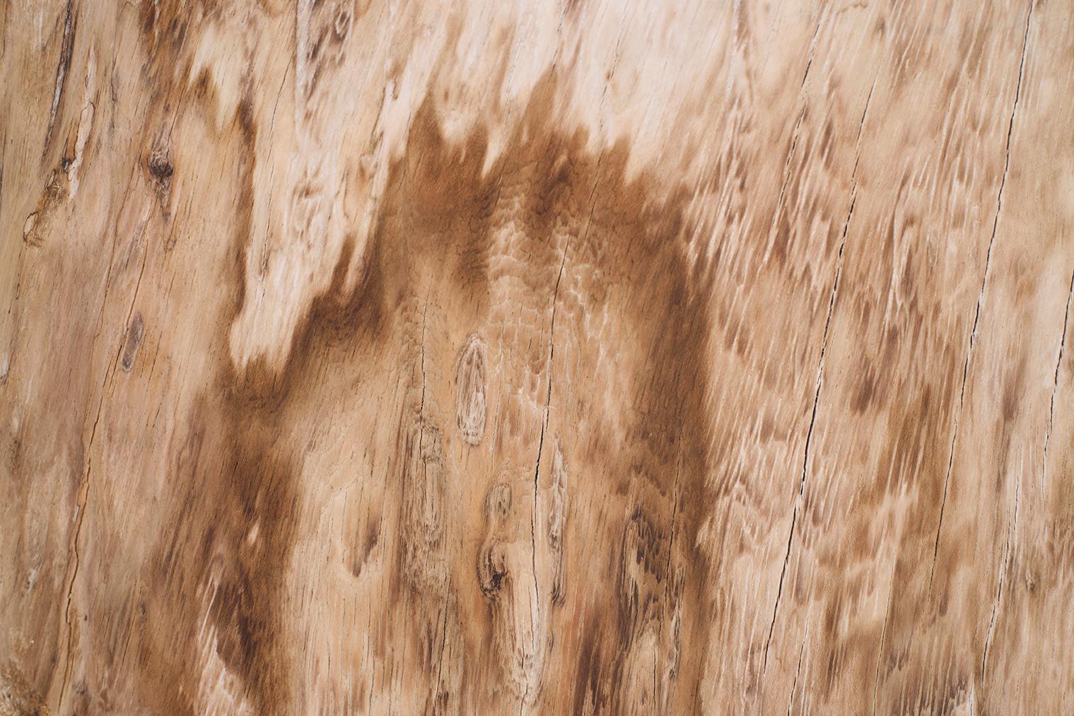 20th Century Bleached Lychee Wood Coffee Table
