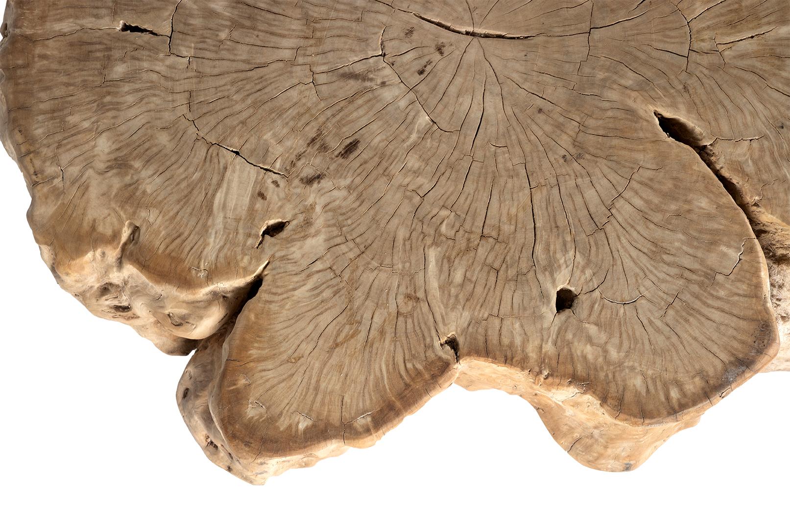 Bleached Lychee Wood Coffee Table For Sale 2