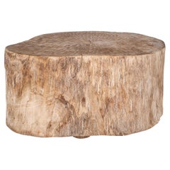 Bleached Lychee Wood Coffee Table