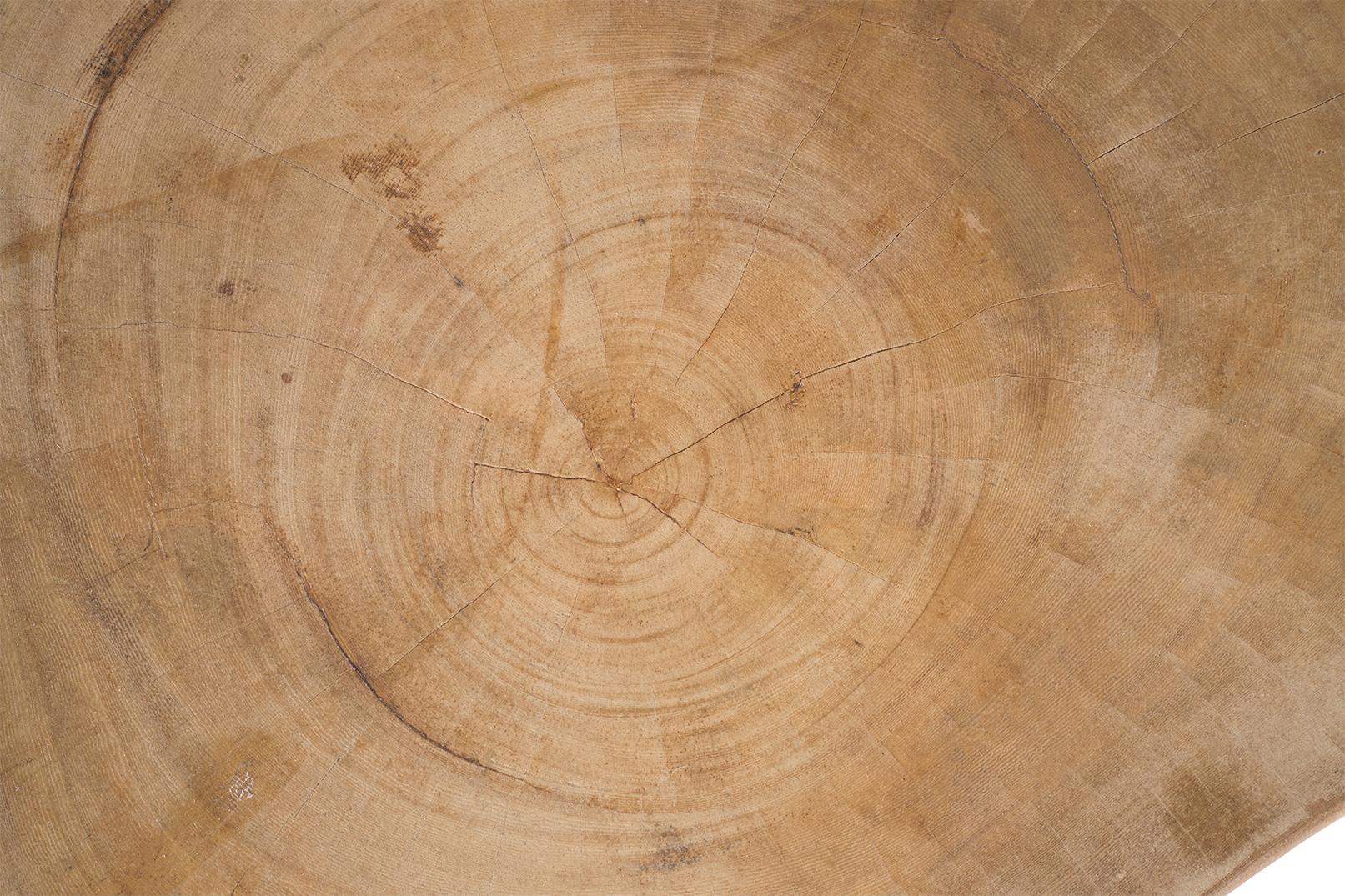 Bleached Lychee Wood Organic Form Coffee Table 2