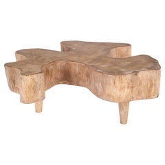 Bleached Lychee Wood Organic Form Coffee Table