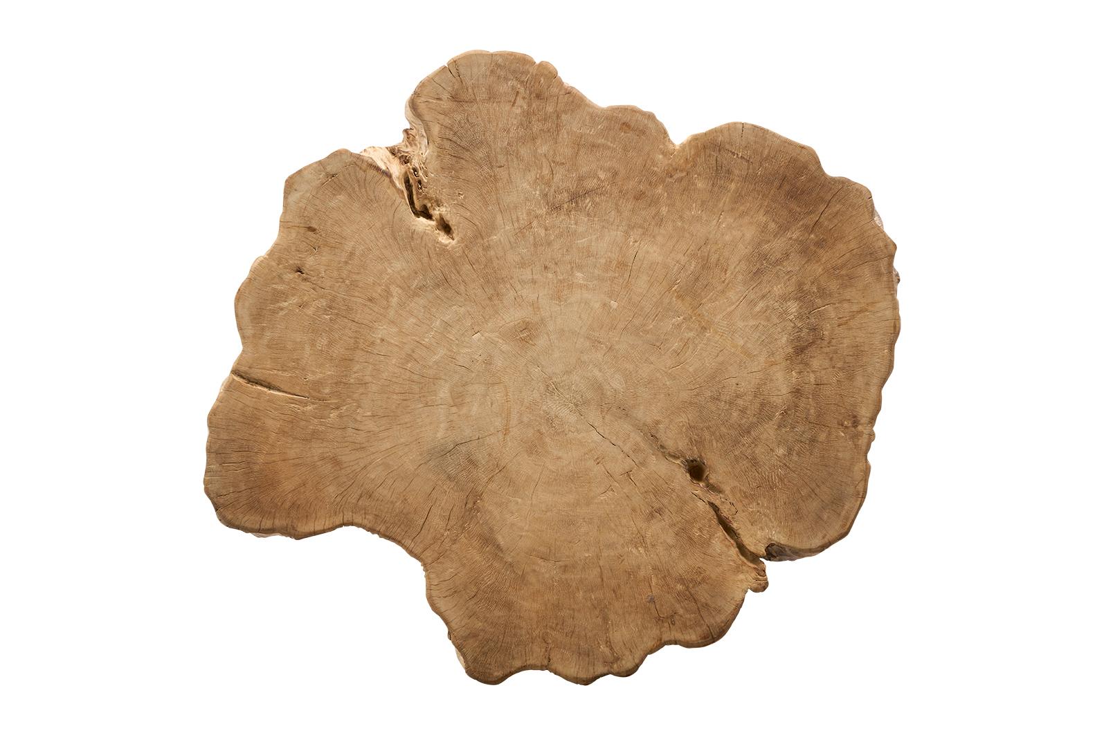 Bleached Organic Lychee  Wood Coffee table In Good Condition In Dallas, TX
