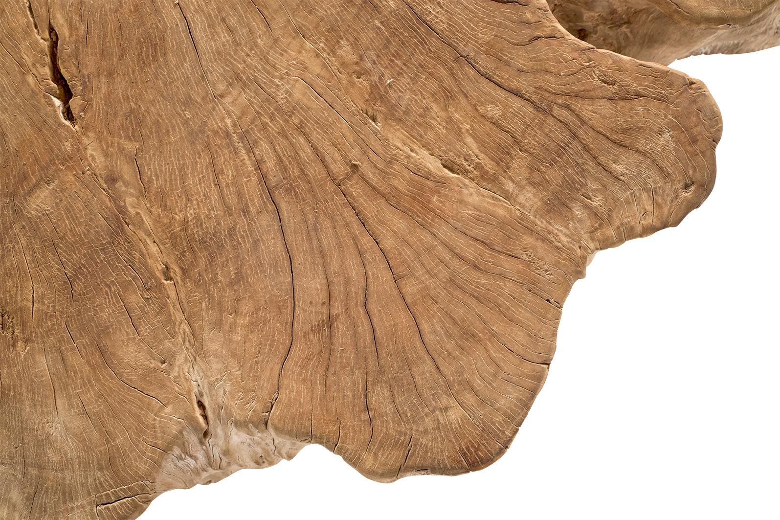 Bleached Organic Lychee  Wood Coffee table 2