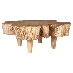 Bleached Organic Lychee Wood Coffee table