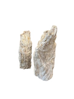 Sculture in legno pietrificato sbiancato