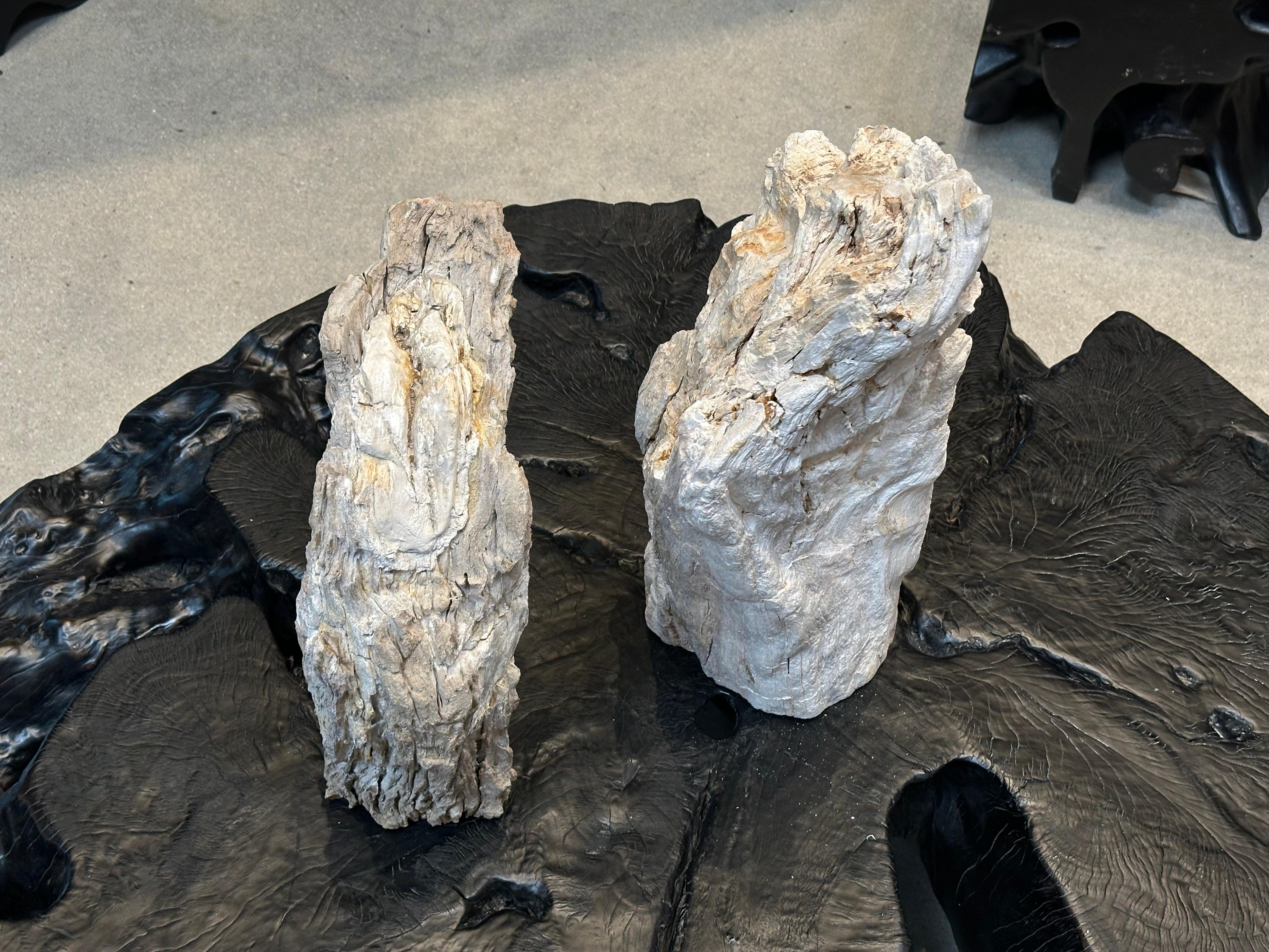 Indonesiano Sculture in legno pietrificato sbiancato in vendita