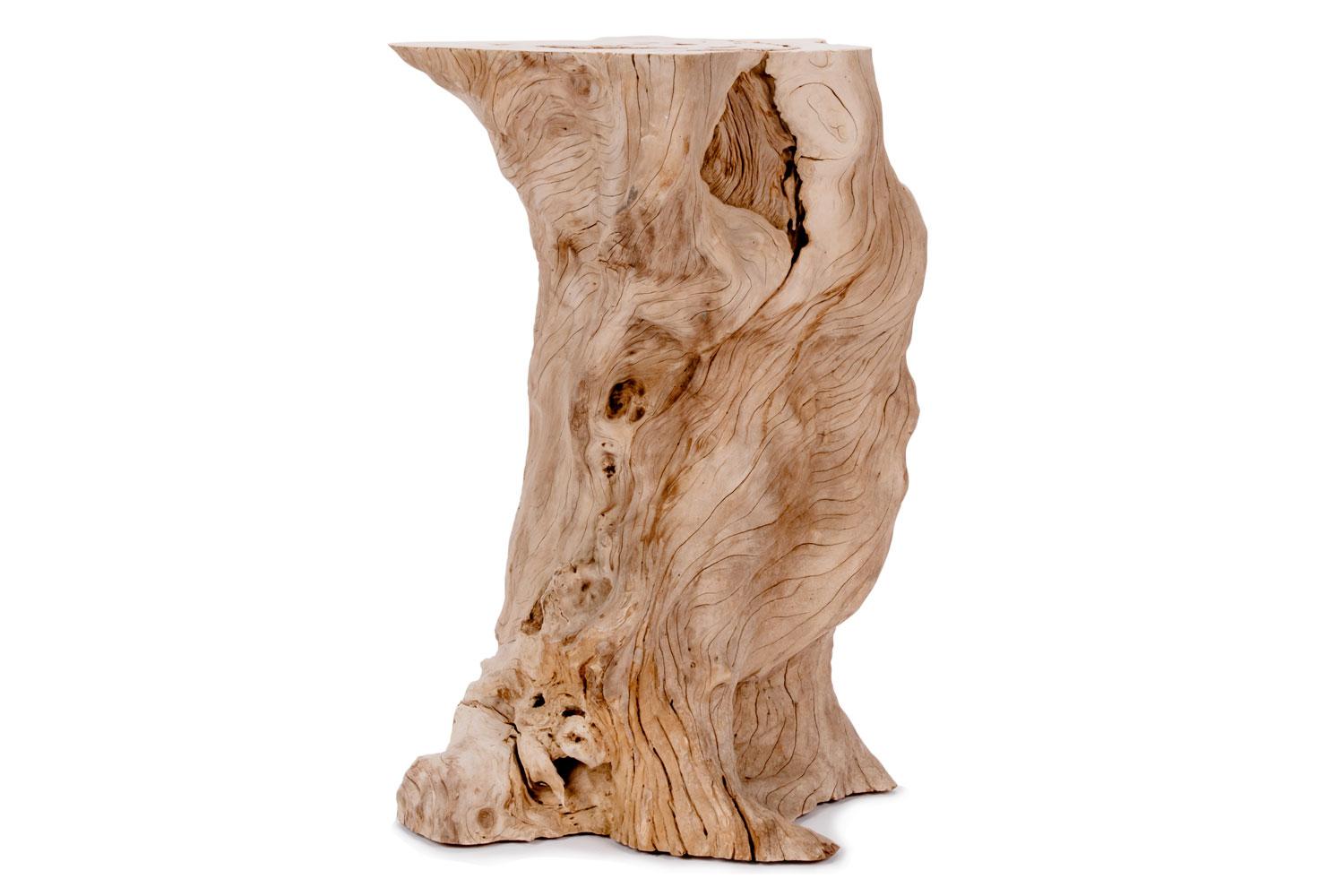 Organic Modern Bleached Plumeria Wood Pedestals