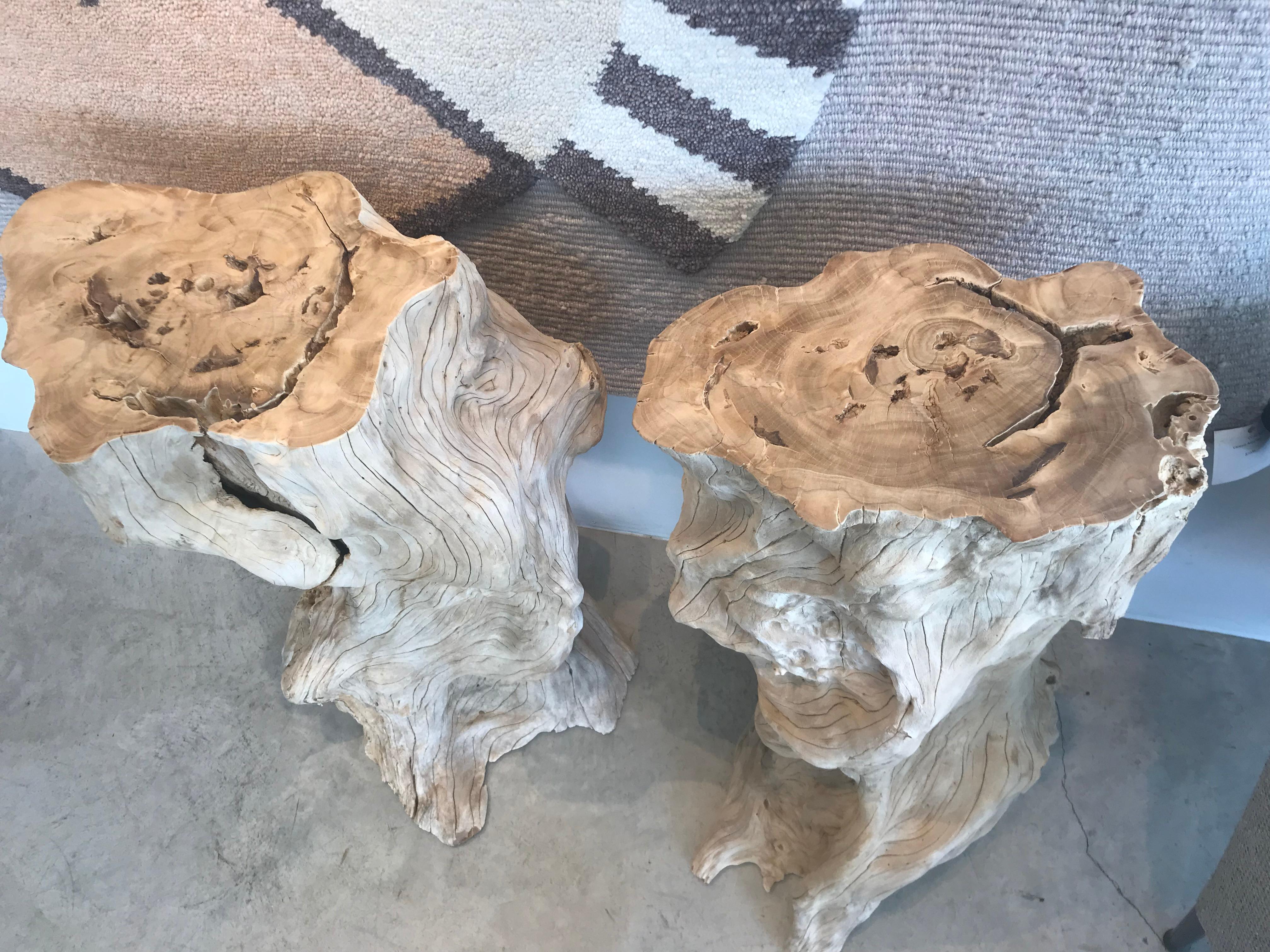 Bleached Plumeria Wood Pedestals In Good Condition In Tulsa, OK