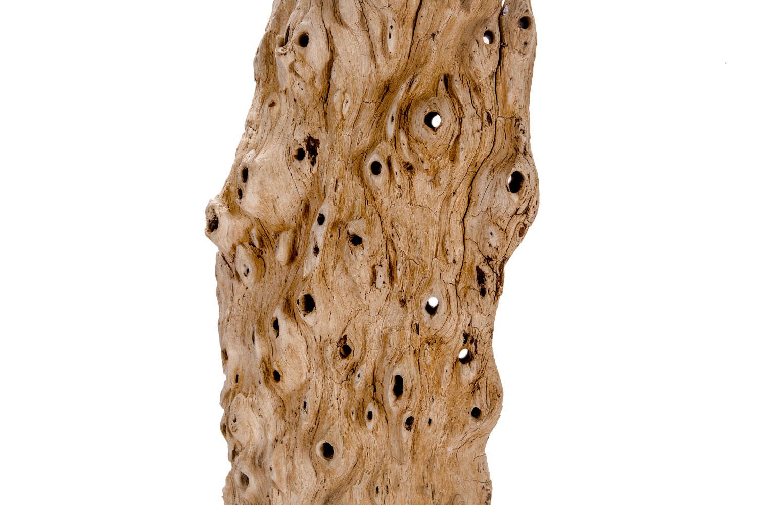 Found piece of Indonesian sapwood from the outer layer of the tree, below the bark is from an a acacia tree mounted on a steel stand. The 'eyes' in this type of wood add texture and can be back lit to accentuate drama. It's lightly bleached to