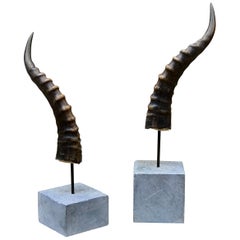 Pair of Blesbok Horn Sculpture Artist Mounted on Soapstone Bases