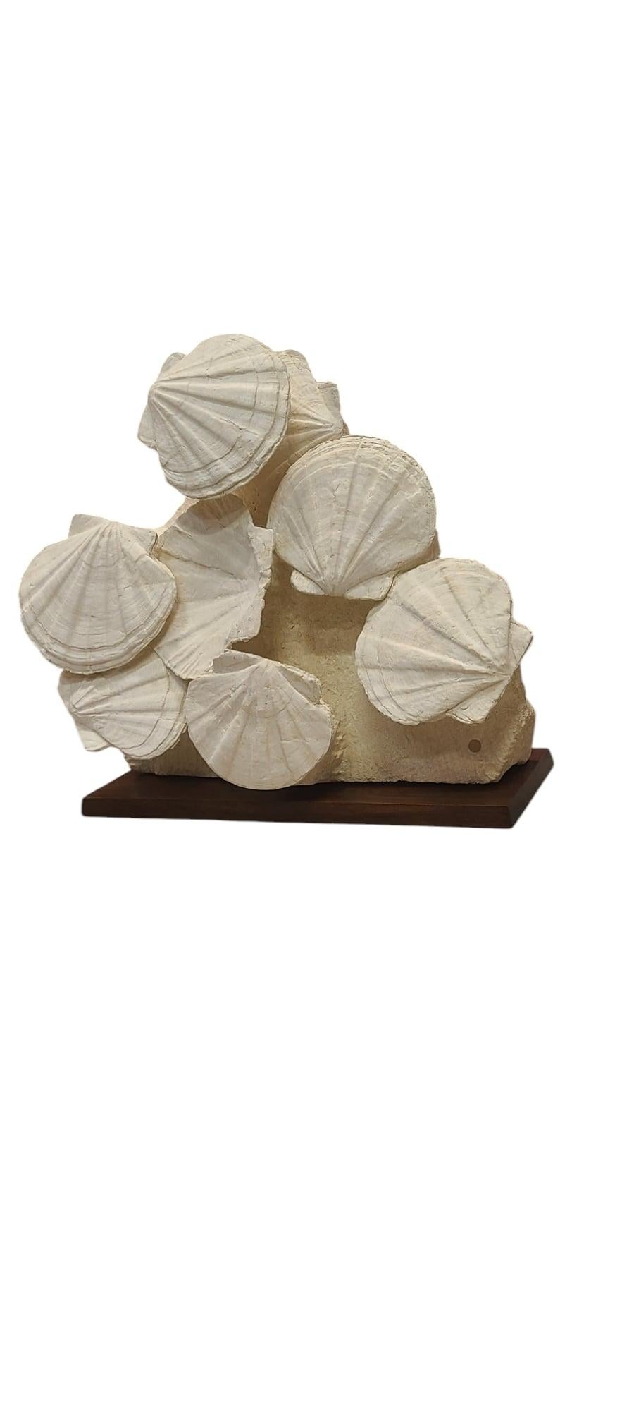 XXIe siècle et contemporain Groupe de festons de coquillages fossiles, France, époque Burdigalien, 20 millions d'années en vente