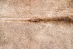 Blonde Genuine Brazilian Cowhide