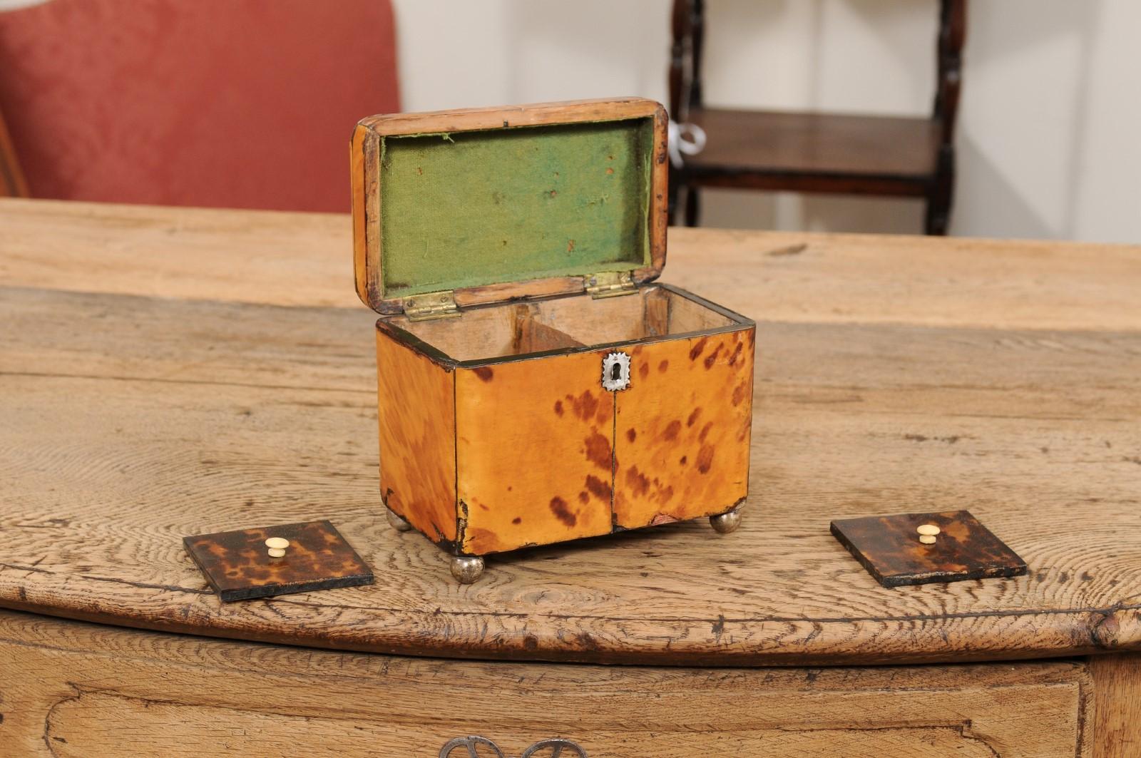 Blonde Tortoiseshell Tea Caddy, England 19th Century For Sale 1