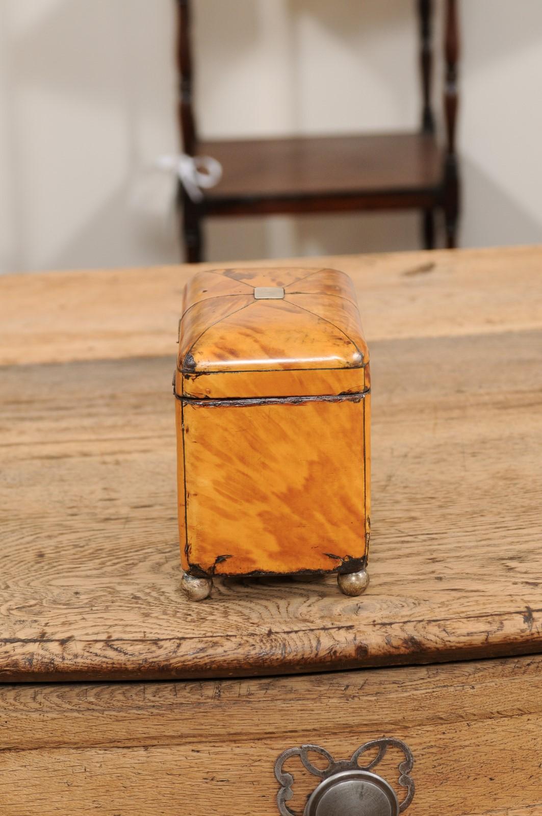 Blonde Tortoiseshell Tea Caddy, England 19th Century For Sale 2