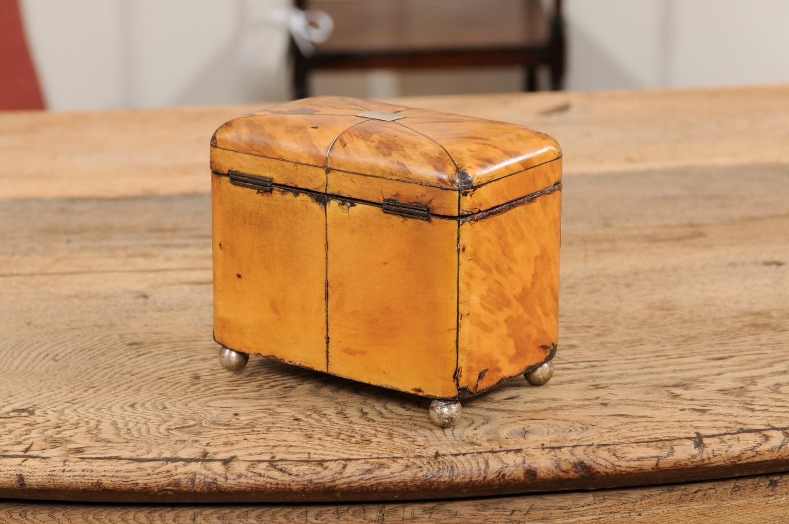 Blonde Tortoiseshell Tea Caddy, England 19th Century For Sale 3