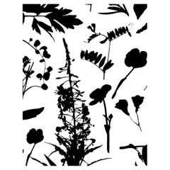 Bloom Floral Wallpaper Black and White, Cinder