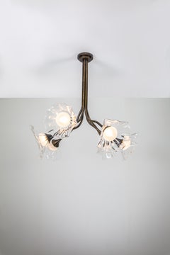 Bloom, lampadario in vetro trasparente soffiato a mano, finitura in bronzo, di Kalin Asenov