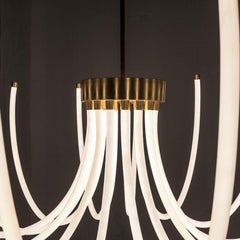 Bloom Chandelier in Brass by Morghen Studio