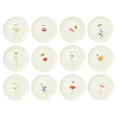 Bloom Set de 12 Platos de Postre