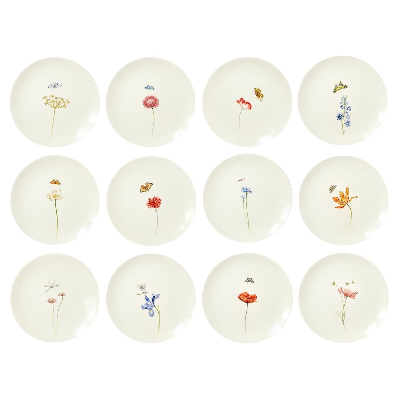 Set di 12 piatti da portata Bloom