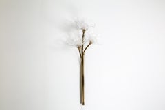 Bloom Tripple, Aged Brass, Handblown Clear Glass, Plug in Sconce, Kalin Asenov