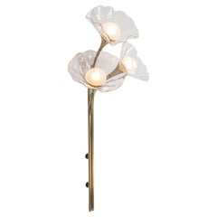 Bloom Tripple, Aged Brass, Handblown Clear Glass, Plug in Sconce, Kalin Asenov