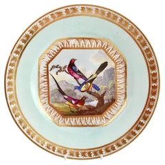 Bloor Derby Dessert Plate, Fancy Birds by Richard Dodson, Regency ca 1815