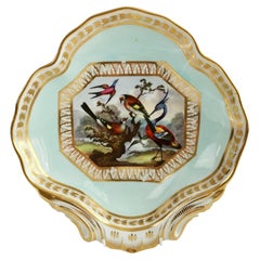 Bloor Derby Dish, Turquoise, Exotic Birds by Richard Dodson, Regency, ca 1815