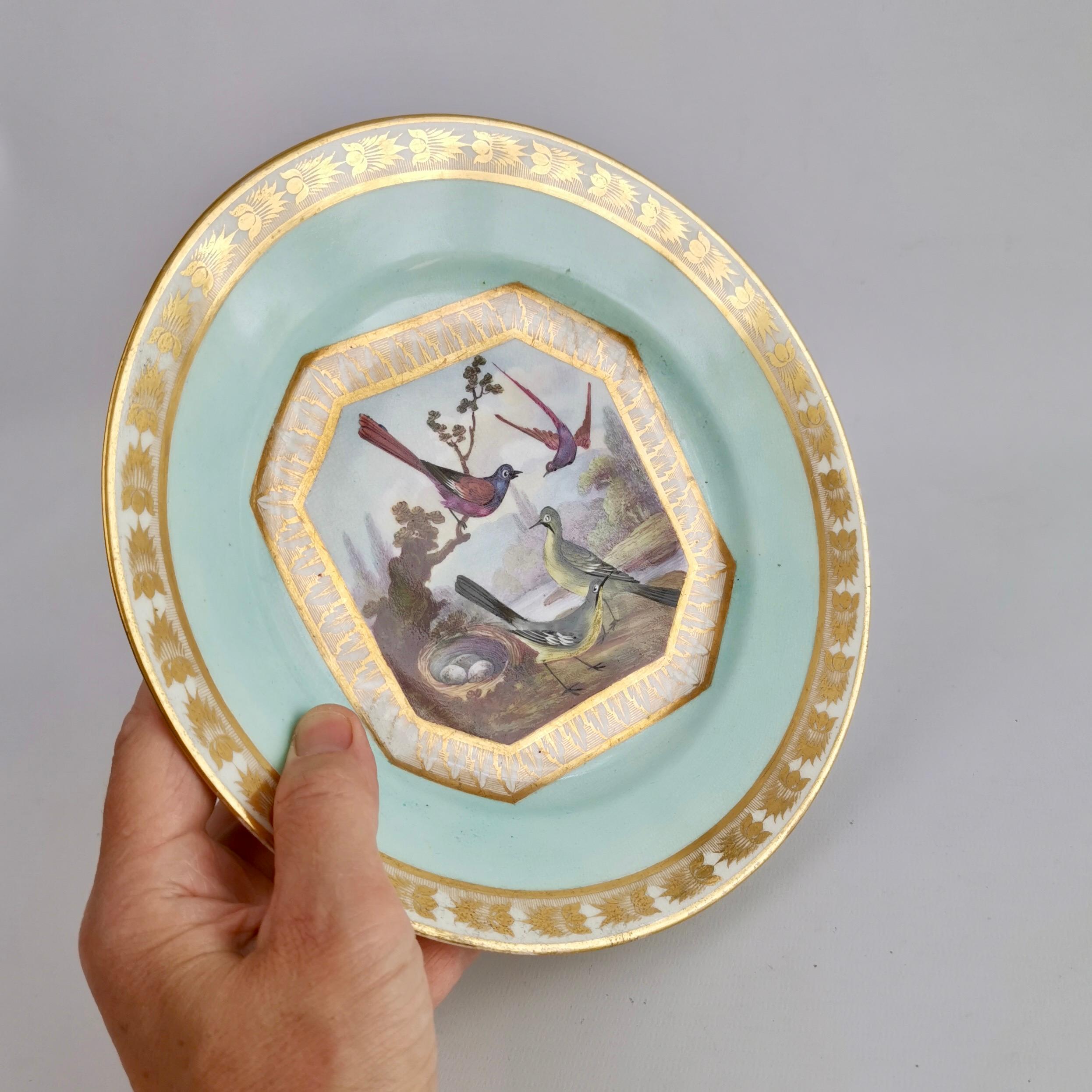 This is a stunning dessert plate made by Derby between 1815 and 1820, which was the Regency era. The plate has a pale turquoise ground, beautiful gilt borders and a stunning painting of fantastical exotic birds in a landscape painted by Richard