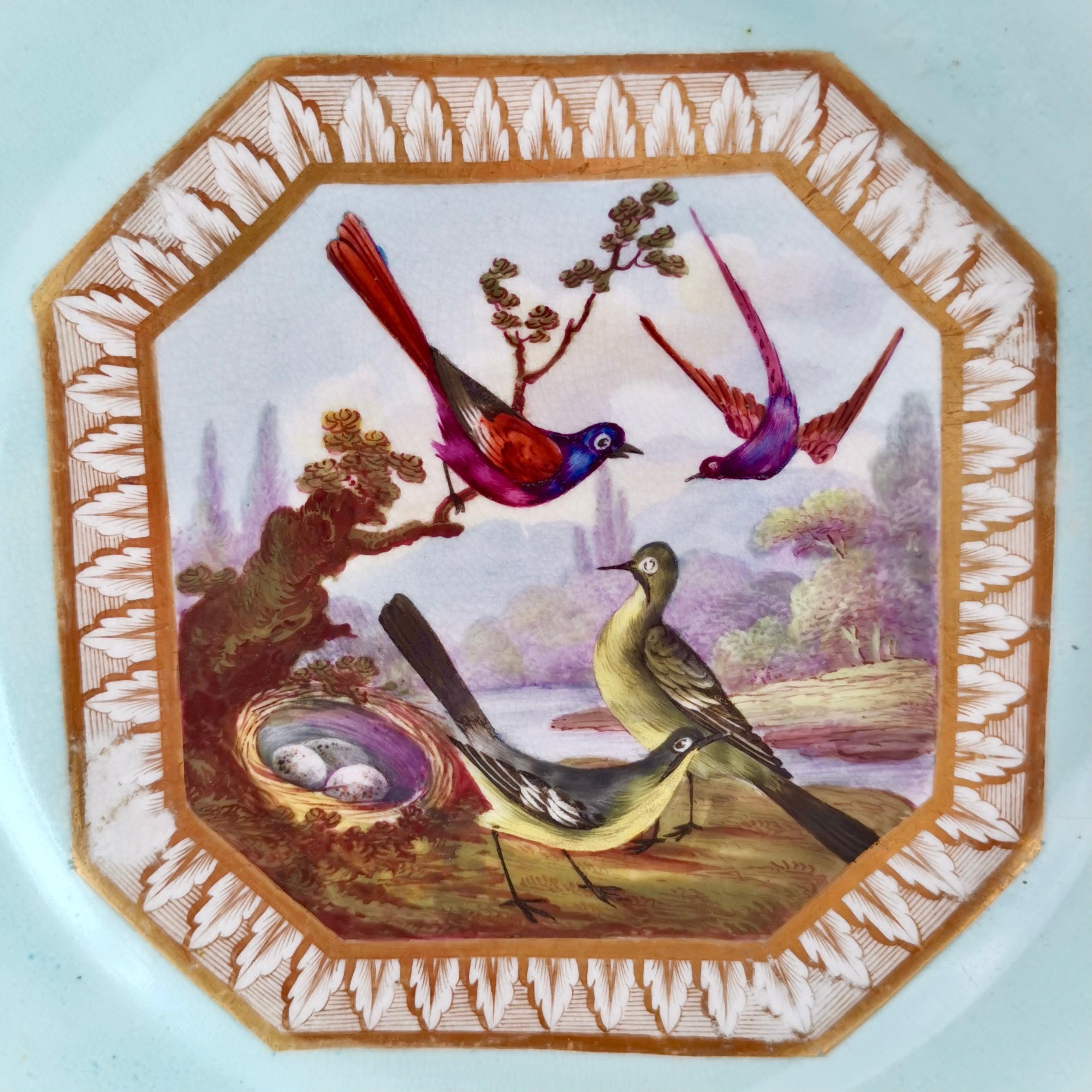 English Bloor Derby Plate, Fancy Birds by Richard Dodson, Regency, Ca 1815