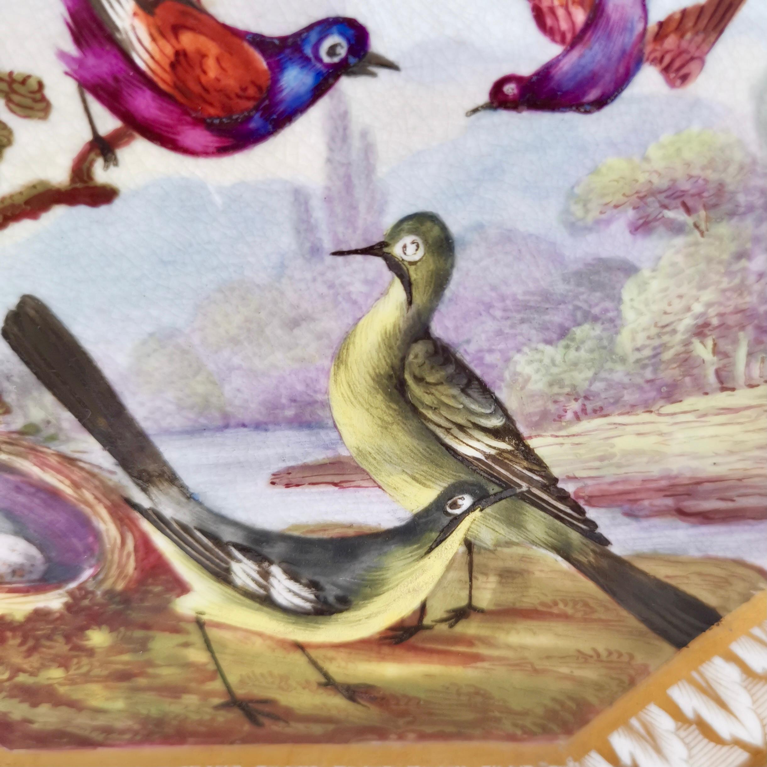 Bloor Derby Plate, Fancy Birds by Richard Dodson, Regency, Ca 1815 In Good Condition In London, GB