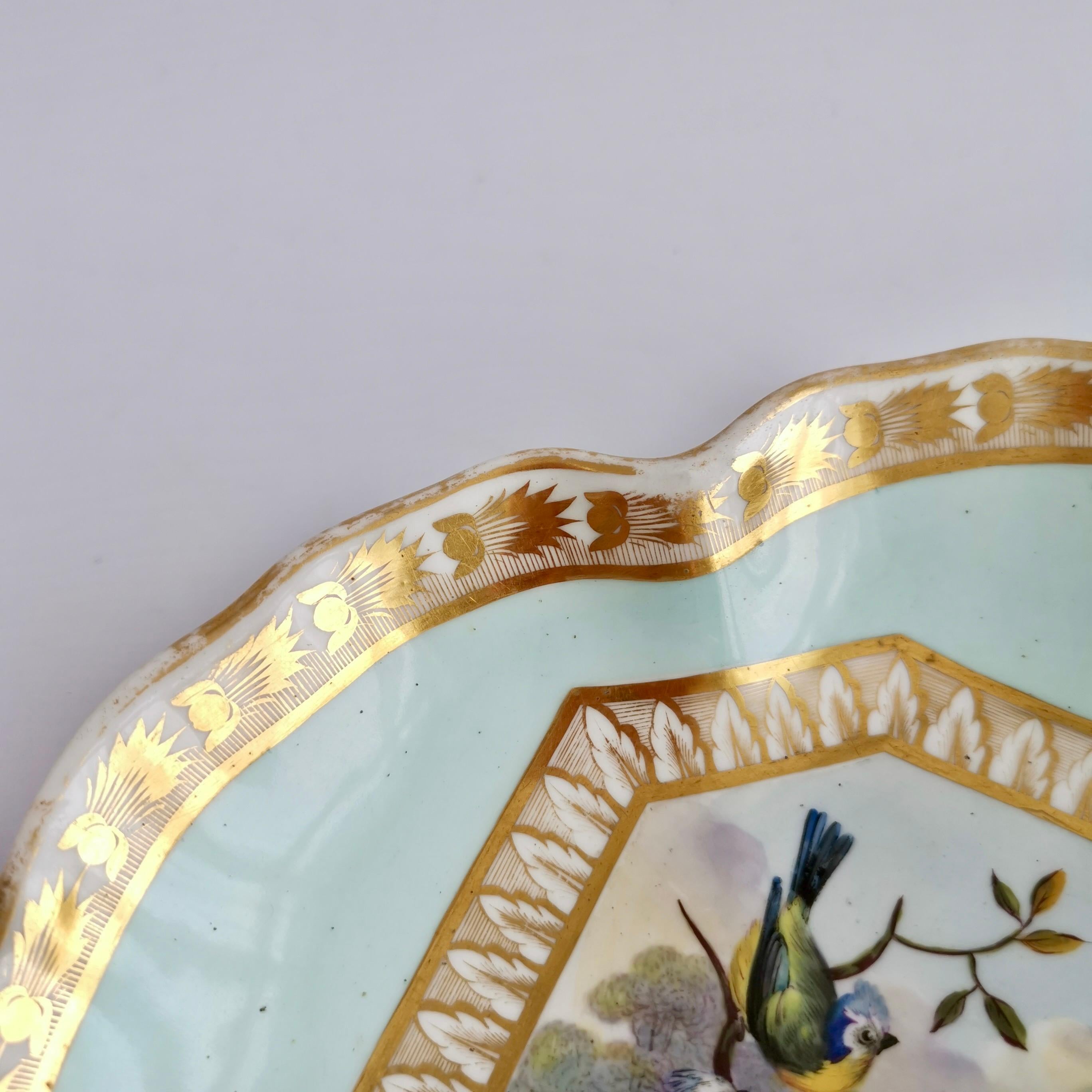 Bloor Derby Shell Dish, Fancy Birds by Richard Dodson, Regency Ca 1815 6