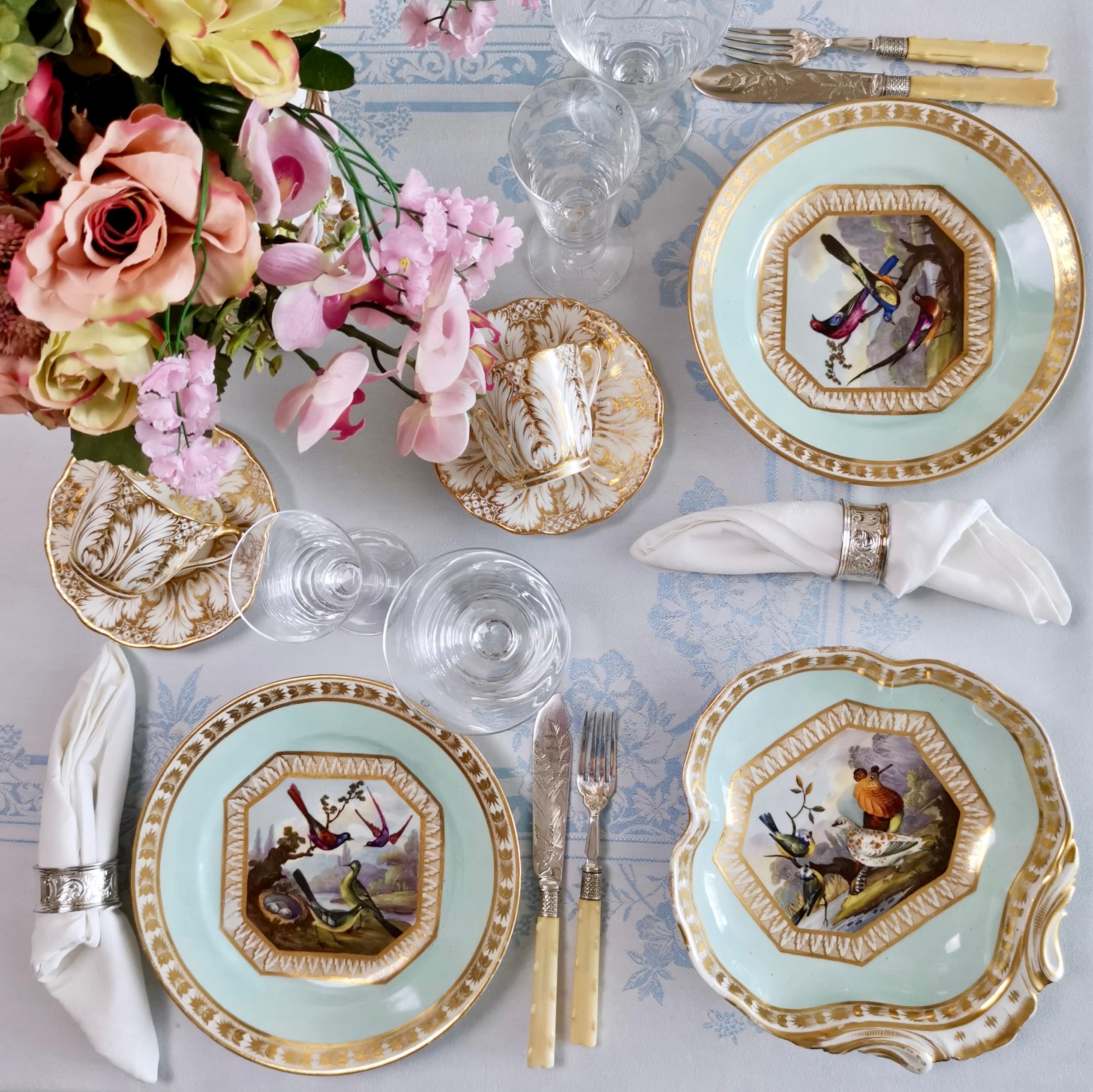 This is a stunning shell-shaped serving dish made by Derby between 1815 and 1820, which was the Regency era. The dish has a pale turquoise ground, beautiful gilt borders and a stunning painting of fantastical exotic birds in a landscape painted by