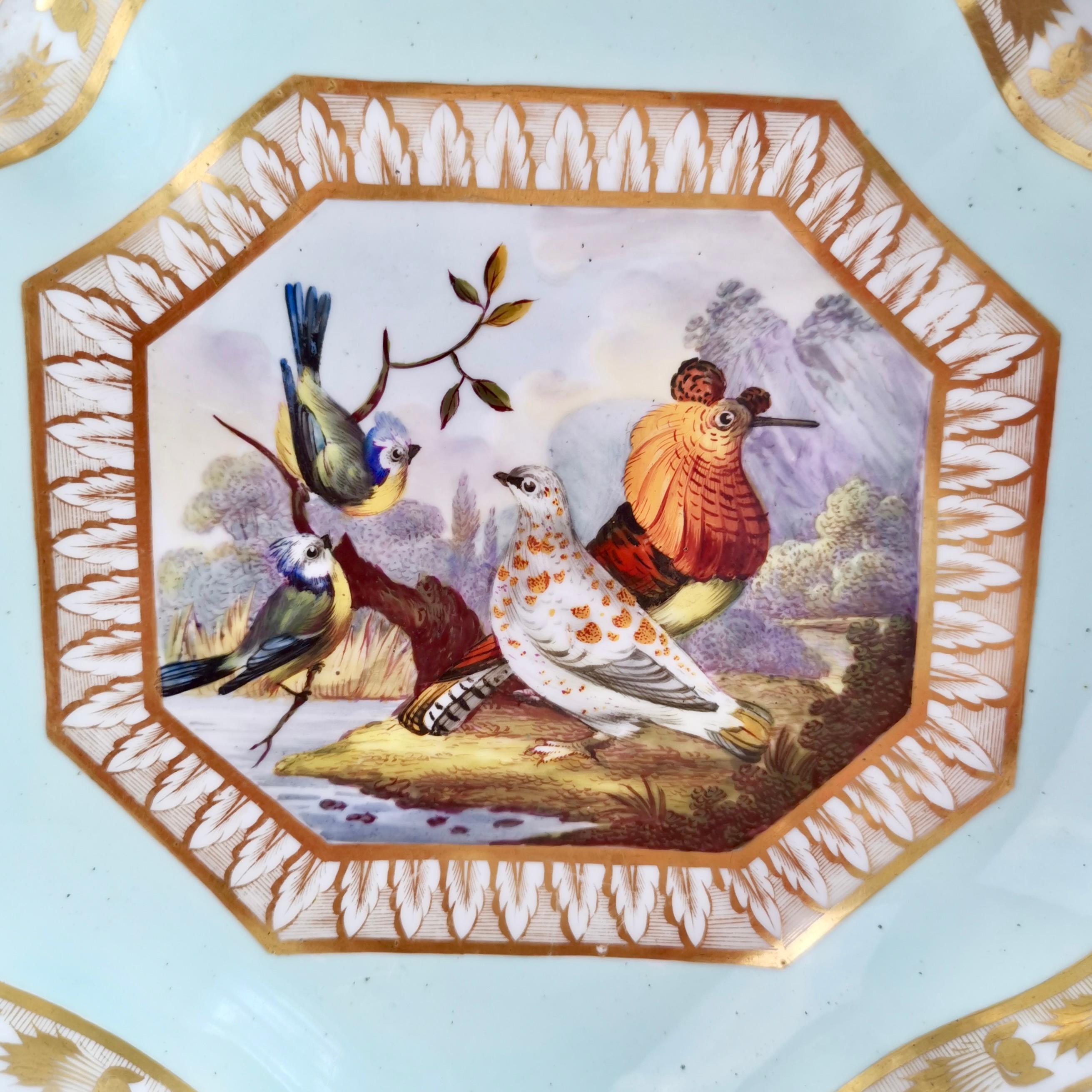 English Bloor Derby Shell Dish, Fancy Birds by Richard Dodson, Regency Ca 1815
