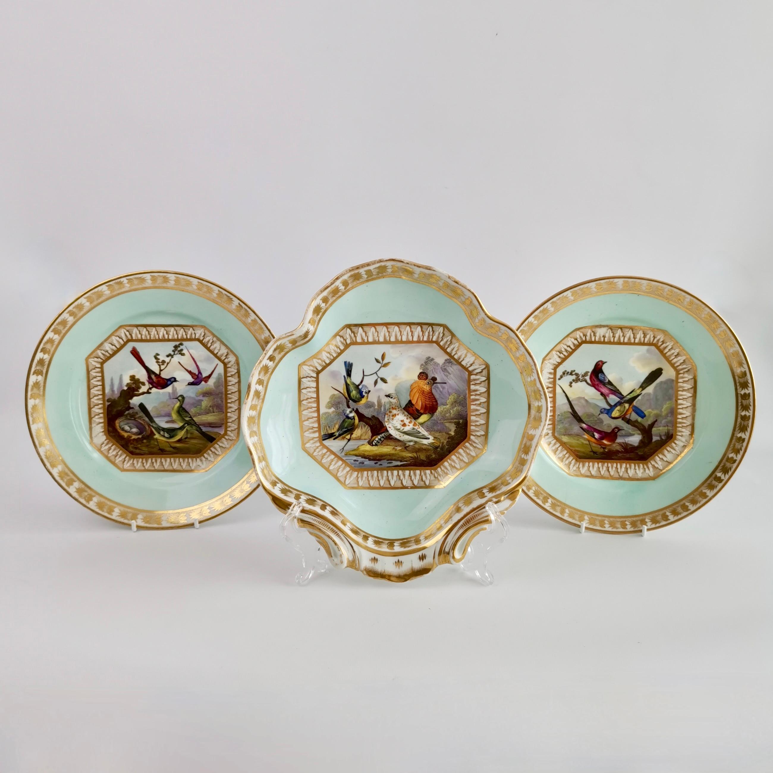 Hand-Painted Bloor Derby Shell Dish, Fancy Birds by Richard Dodson, Regency Ca 1815
