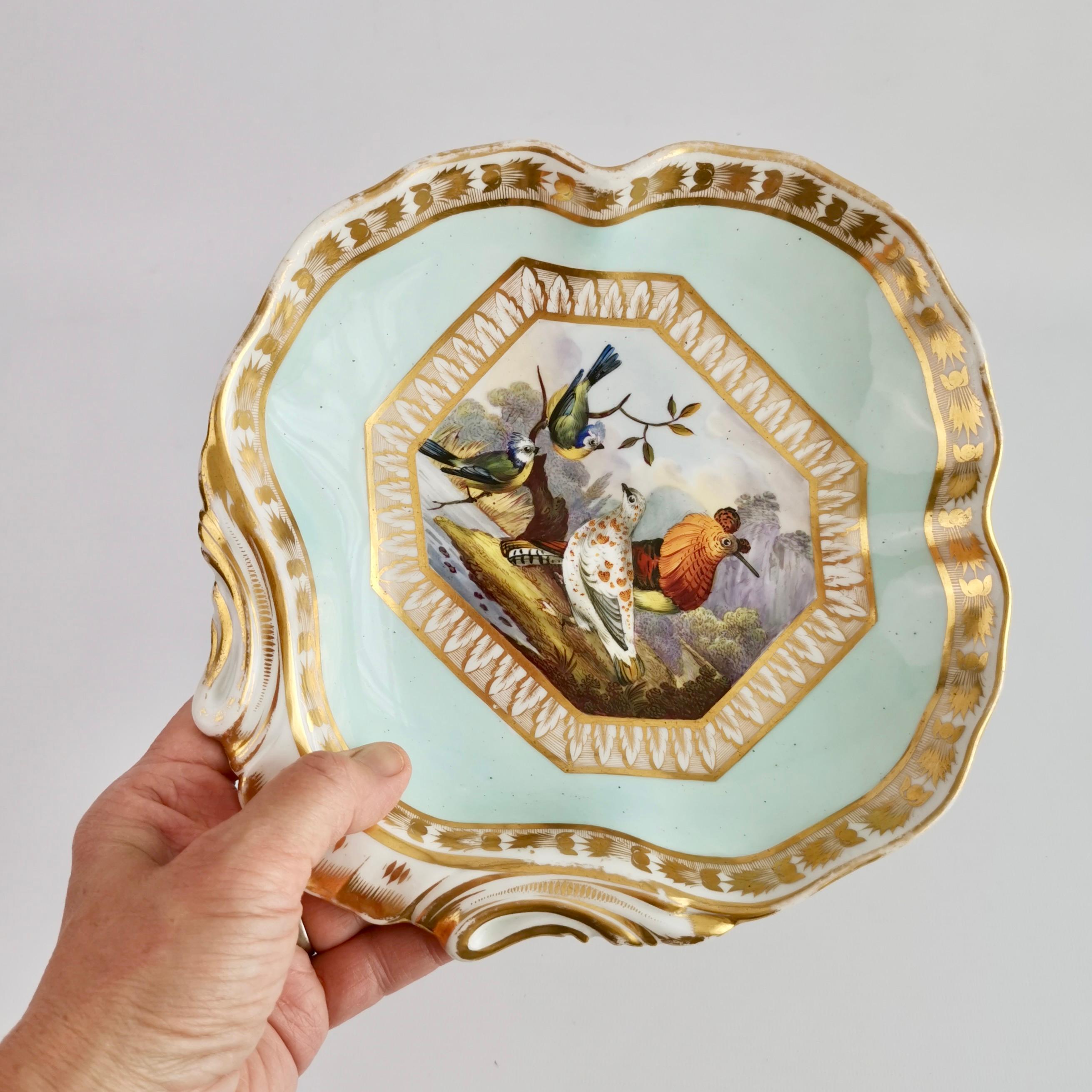 Early 19th Century Bloor Derby Shell Dish, Fancy Birds by Richard Dodson, Regency Ca 1815