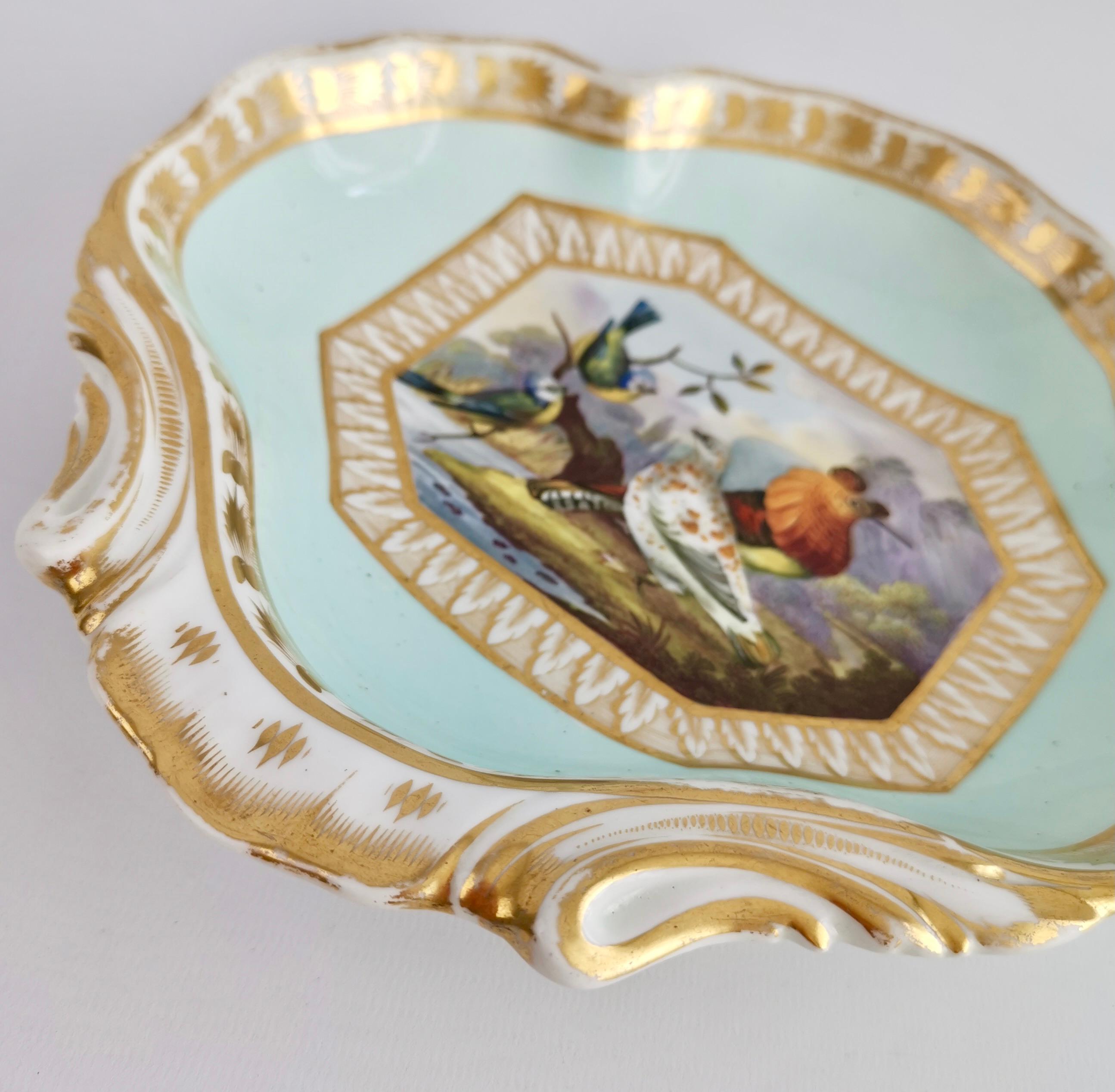 Porcelain Bloor Derby Shell Dish, Fancy Birds by Richard Dodson, Regency Ca 1815