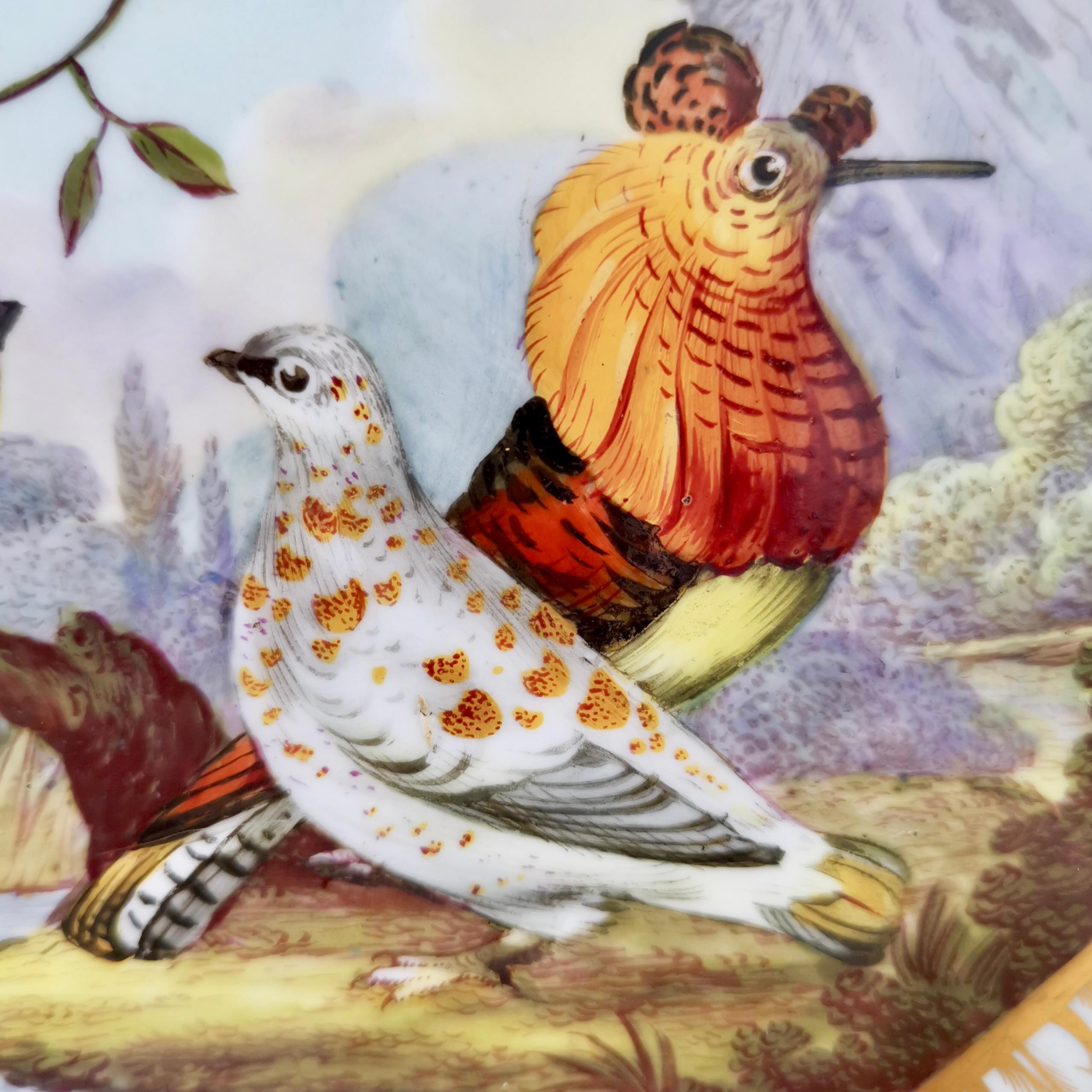Bloor Derby Shell Dish, Fancy Birds by Richard Dodson, Regency Ca 1815 1