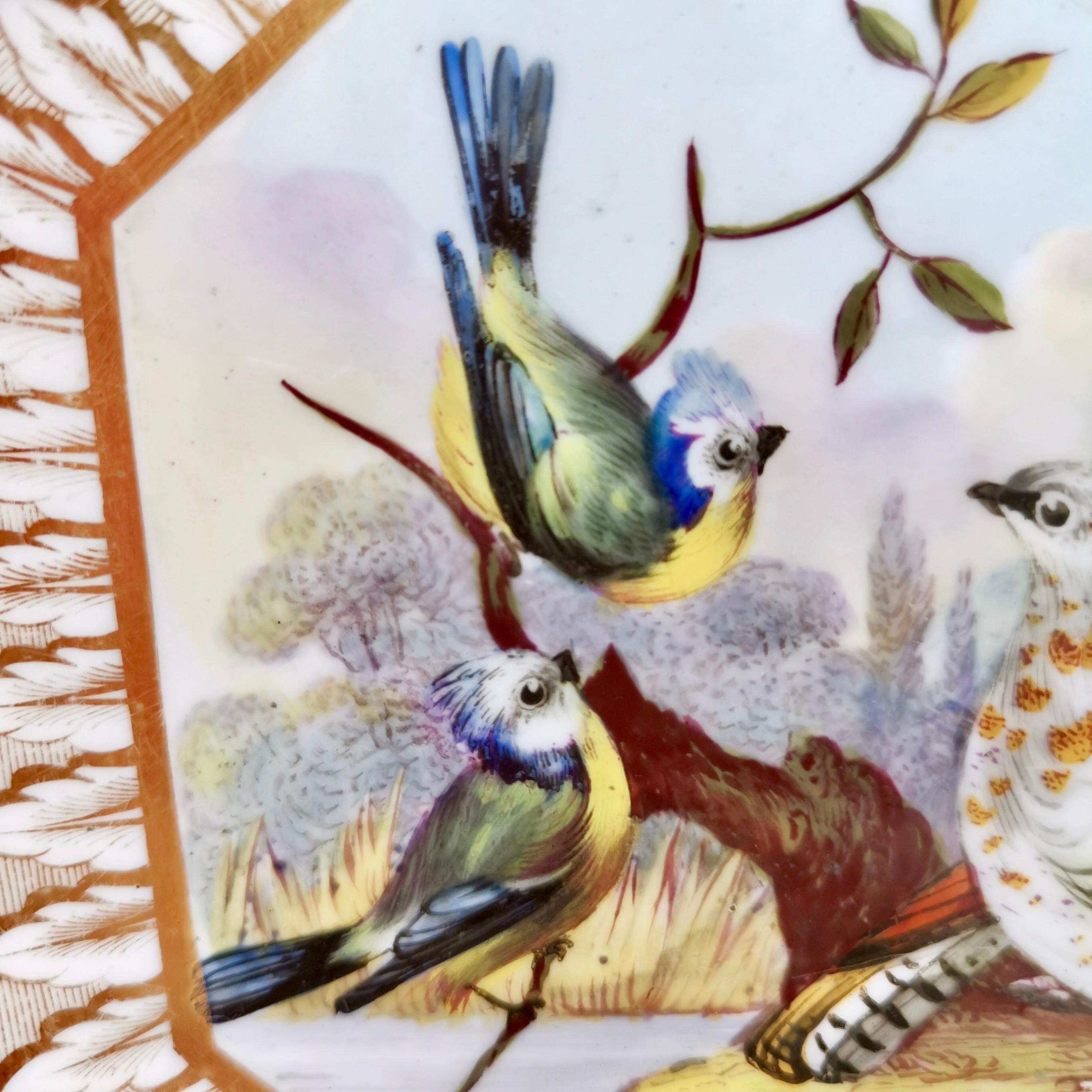 Bloor Derby Shell Dish, Fancy Birds by Richard Dodson, Regency Ca 1815 2
