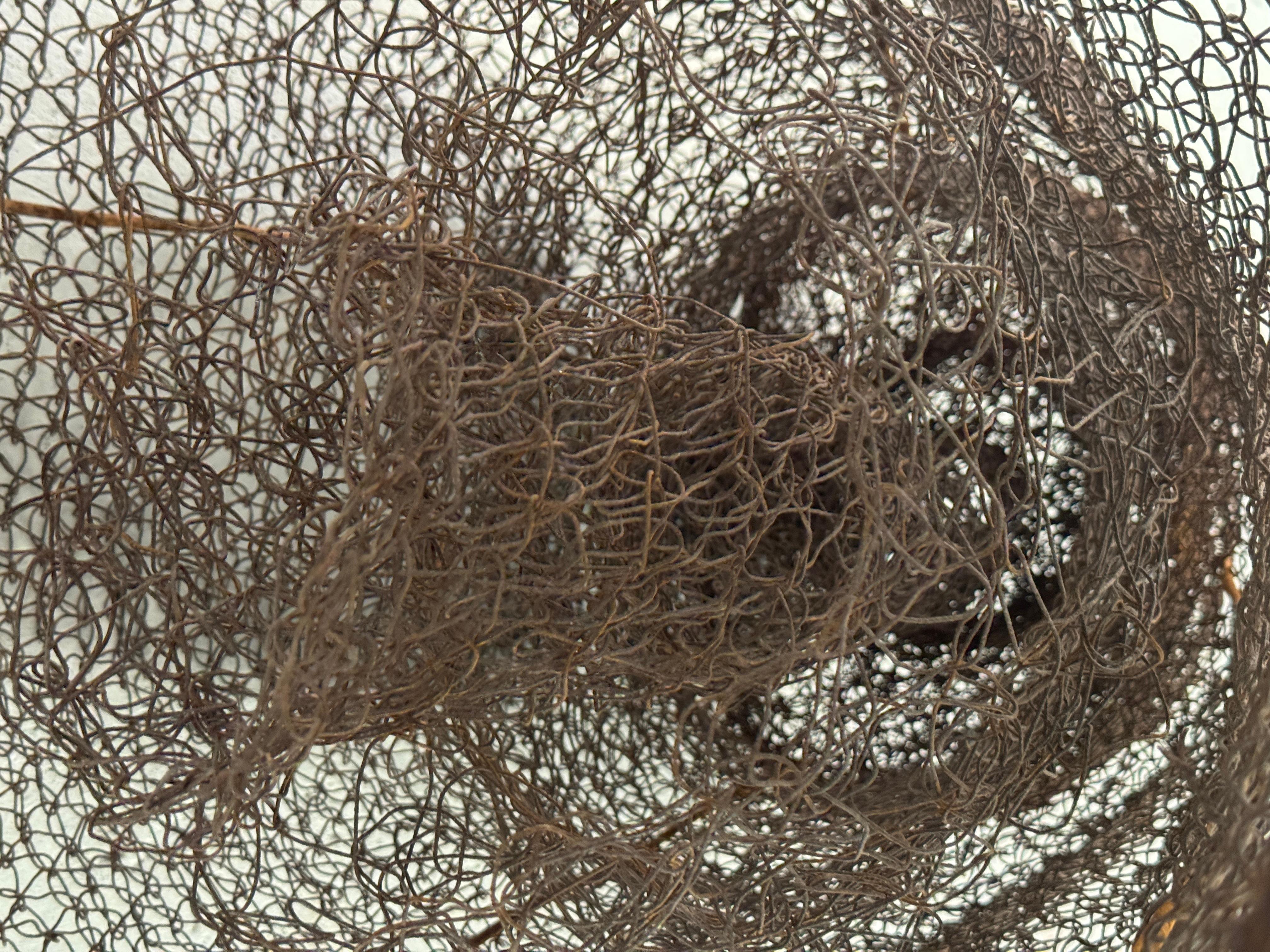 XXI secolo e contemporaneo 