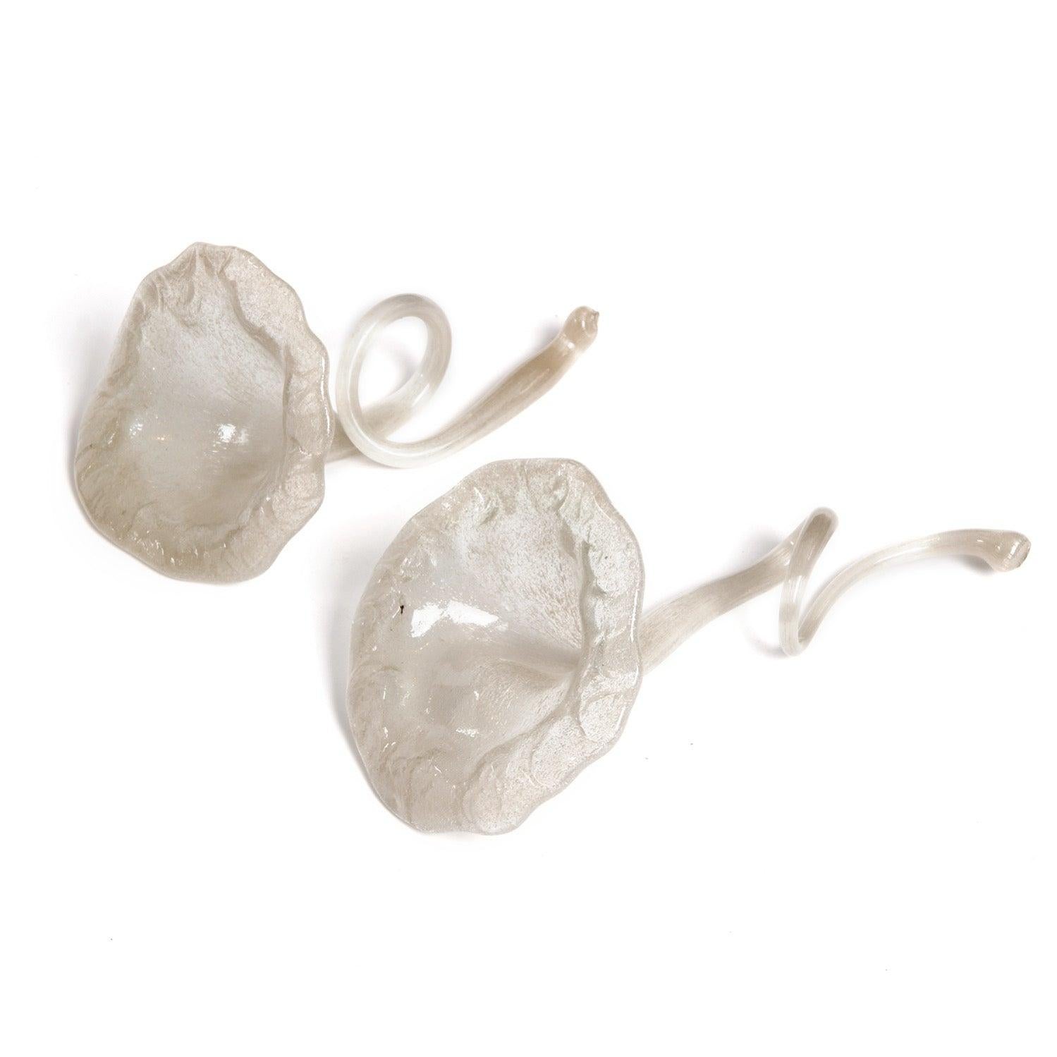 Une paire (2) de fleurs trompettes bien échelonnées, expressives et magnifiquement travaillées en verre soufflé et manipulé, avec des tiges en volutes.