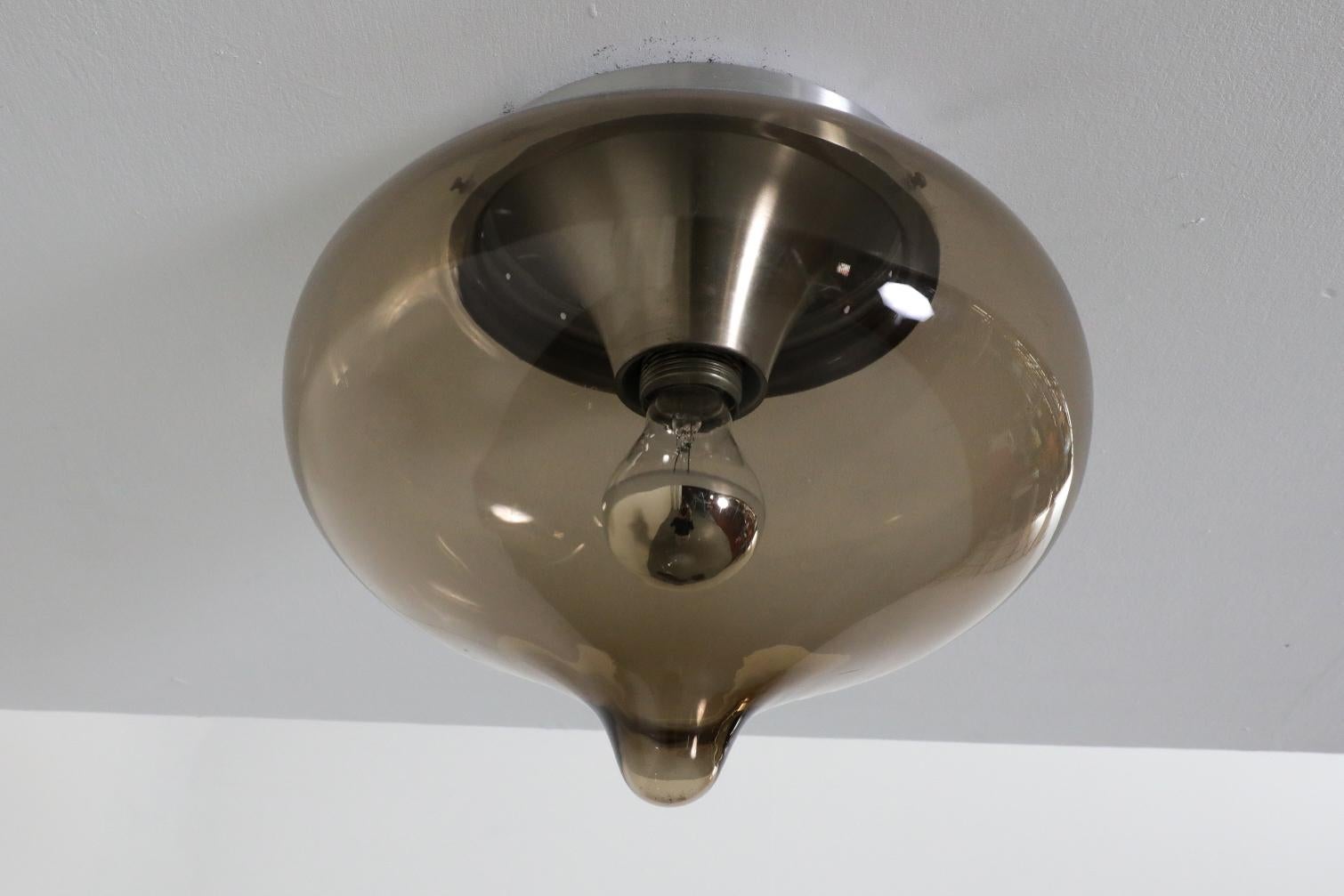 Blown Smoked Glass Globe Flush Mount Ceiling 